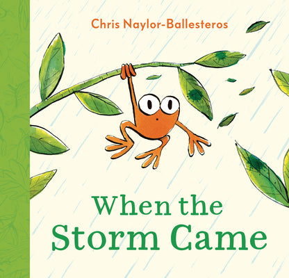 Cover Image for When the Storm Came -- Chris Naylor-Ballesteros, Hardcover