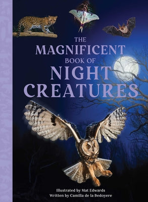 Cover Image for The Magnificent Book of Night Creatures -- Mat Edwards, Hardcover