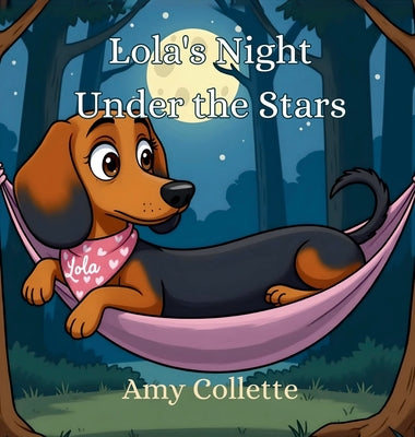 Cover Image for Lola's Night Under the Stars -- Amy Collette, Hardcover