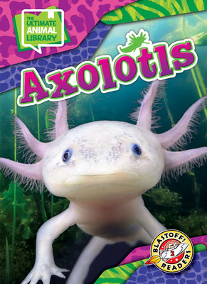 Cover Image for Axolotls -- Chris Bowman, Library Binding
