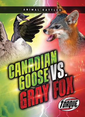 Cover Image for Canada Goose vs. Gray Fox -- Nathan Sommer, Library Binding