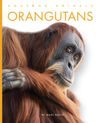 Cover Image for Orangutans -- Mari Bolte, Library Binding